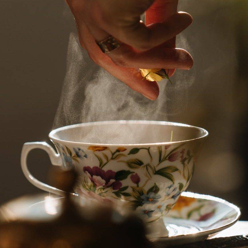 person holding white and red floral ceramic teacup
