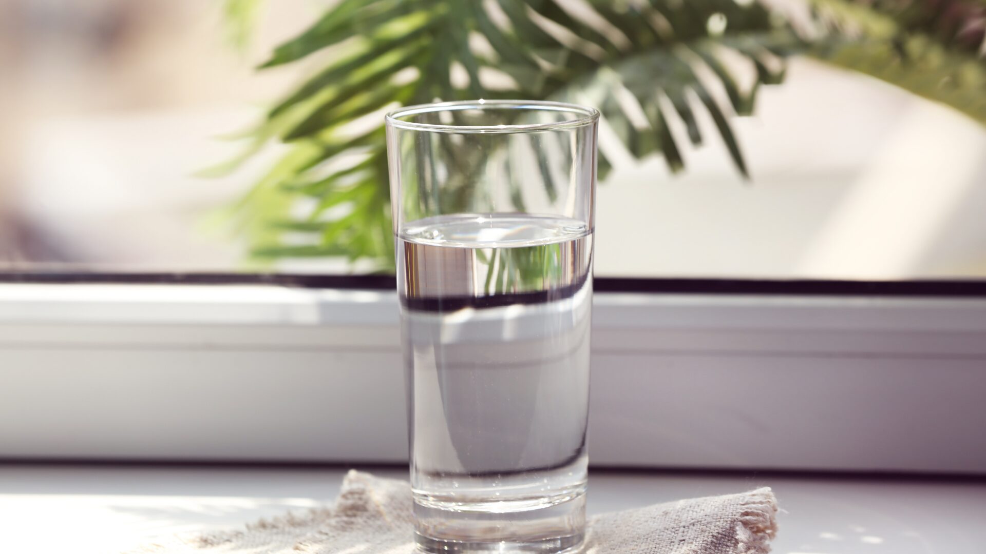 Devastating Impact of Dehydration and How to Drink More Water