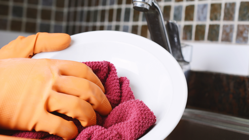 Non-Toxic Dish Soap