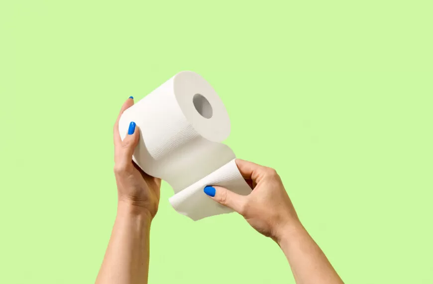 Zero Waste Toilet Paper Brands Better For You and the…