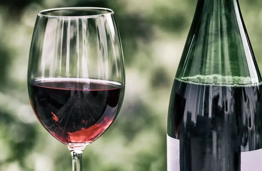 Healthy Organic Wine Without Added Sulfites